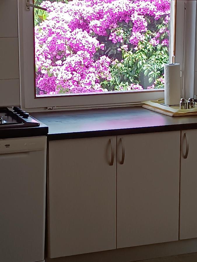 Apartments Sirius Đảo Korčula Ngoại thất bức ảnh